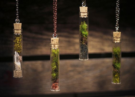 Террариум своими руками