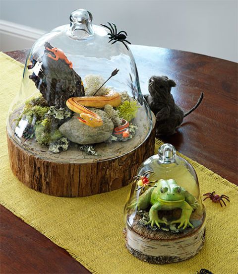 Террариум своими руками