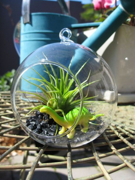 Террариум своими руками