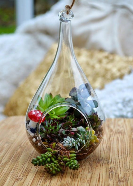 Террариум своими руками