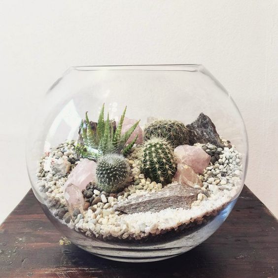 Террариум своими руками