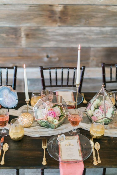 Террариум своими руками