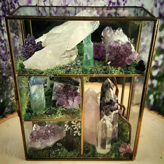 Террариум своими руками