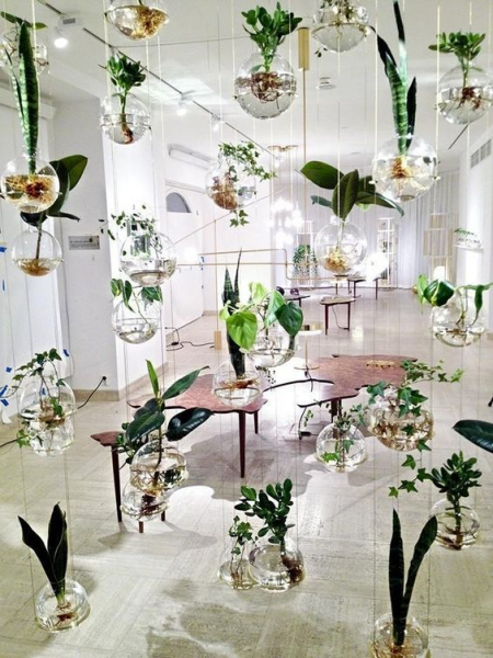 Террариум своими руками