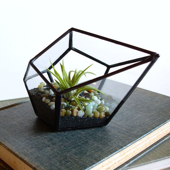 Террариум своими руками