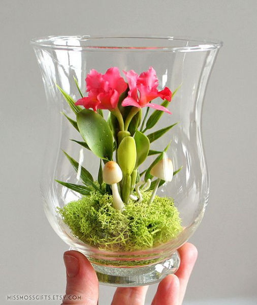 Террариум своими руками