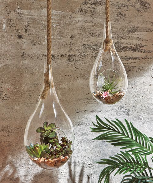 Террариум своими руками