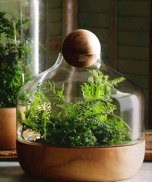 Террариум своими руками