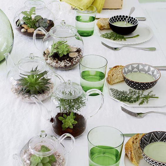 Террариум своими руками