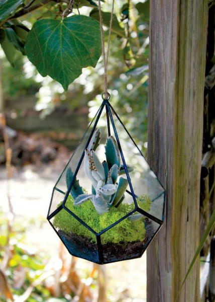 Террариум своими руками