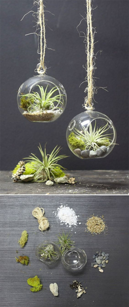 Террариум своими руками