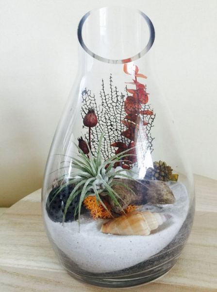 Террариум своими руками
