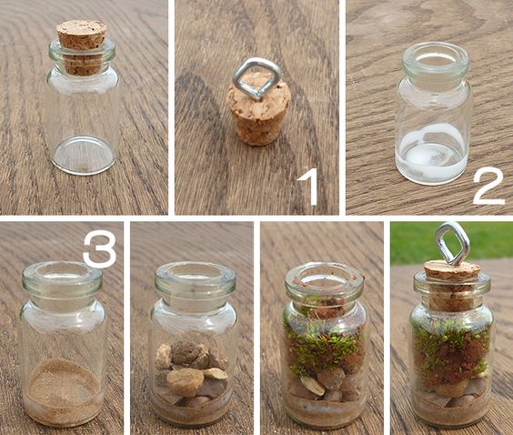 Террариум своими руками