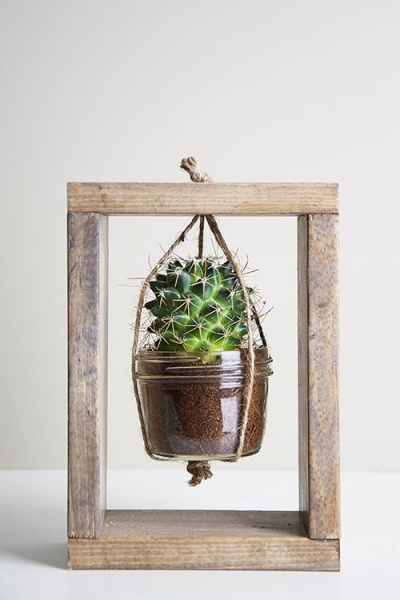 Террариум своими руками