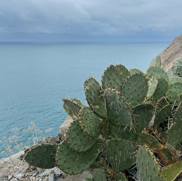 «Желания возвращаться нет совсем»: туристка делится разгромным отзывом об отдыхе в Ялте
