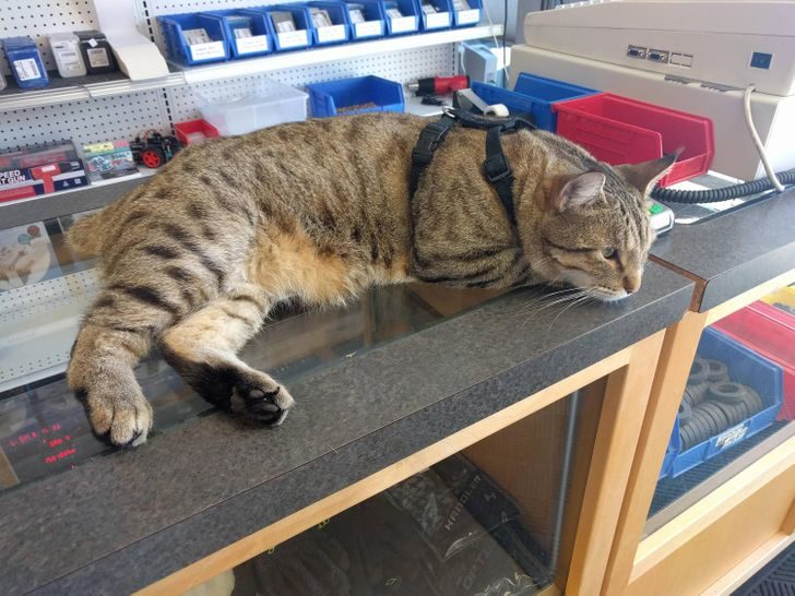 10 необычных магазинов планеты