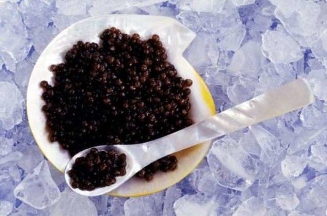 13 видов рыбы, которые нельзя есть