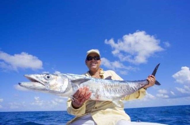 13 видов рыбы, которые нельзя есть