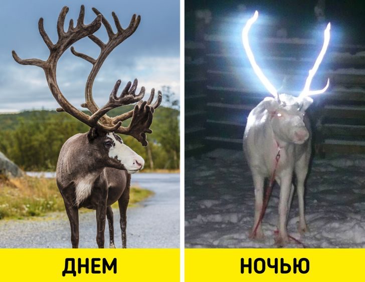 14 особенностей жизни в Финляндии, которые изумляют остальной мир