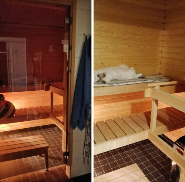 14 особенностей жизни в Финляндии, которые изумляют остальной мир