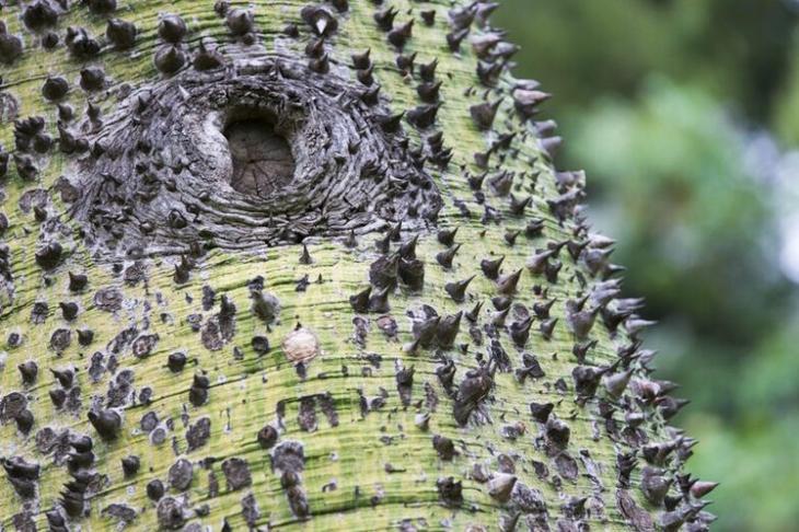 15 занимательных фактов о нашем удивительном мире