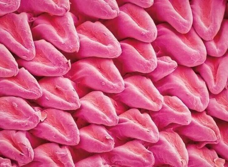 15 занимательных фактов о нашем удивительном мире