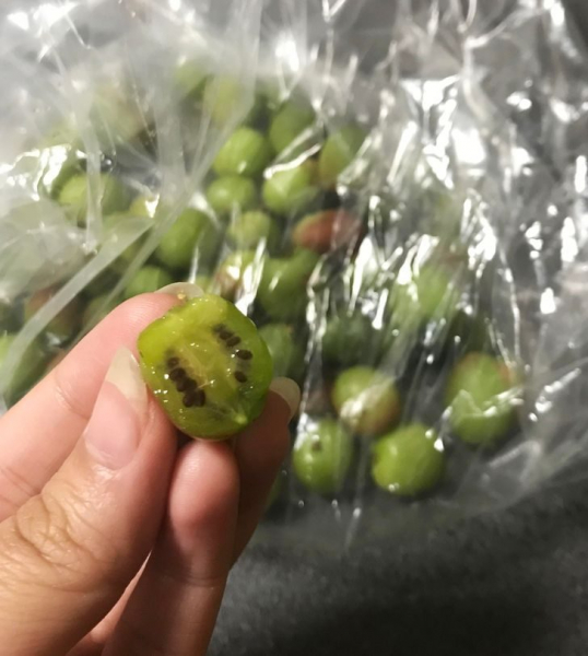 25 фотографий из Нидерландов, которые удивляют и обескураживают