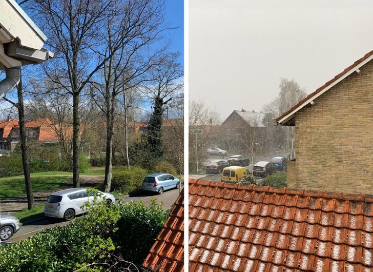 25 фотографий из Нидерландов, которые удивляют и обескураживают