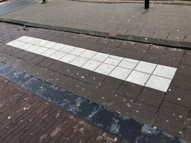 25 фотографий из Нидерландов, которые удивляют и обескураживают