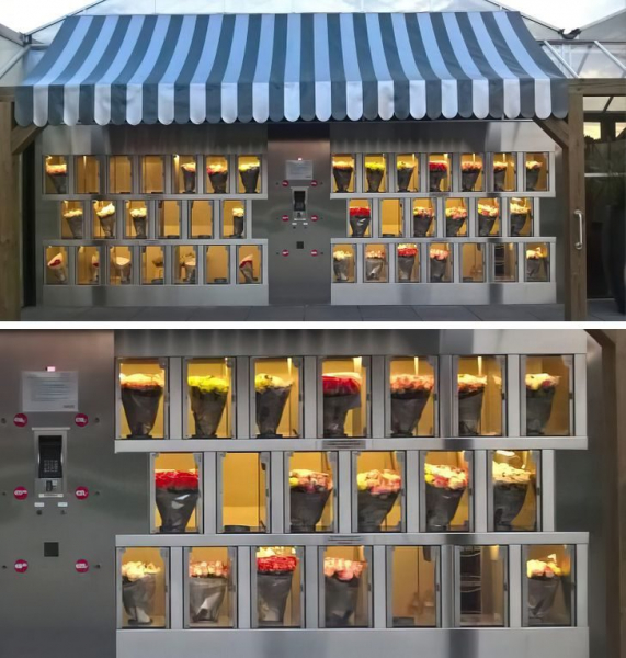 25 фотографий из Нидерландов, которые удивляют и обескураживают