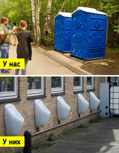 25 фотографий из Нидерландов, которые удивляют и обескураживают