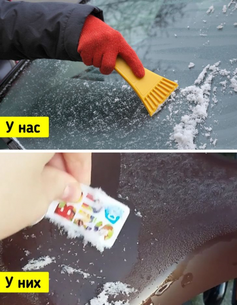 25 фотографий из Нидерландов, которые удивляют и обескураживают