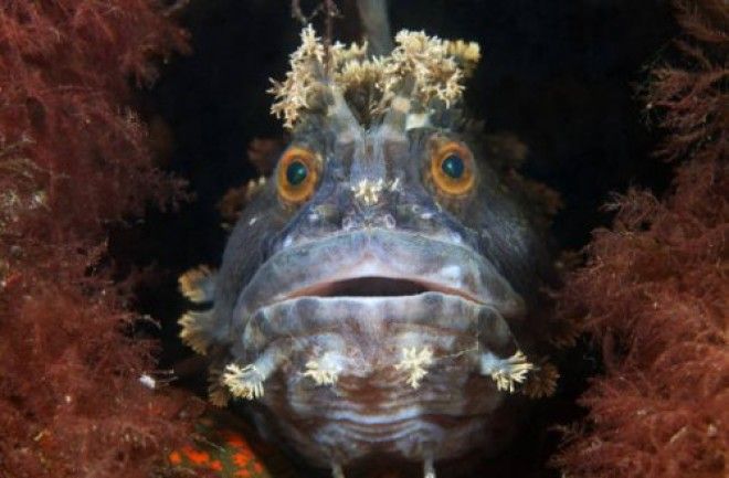 35 необычных подтверждений того, что наша планета способна многим удивить