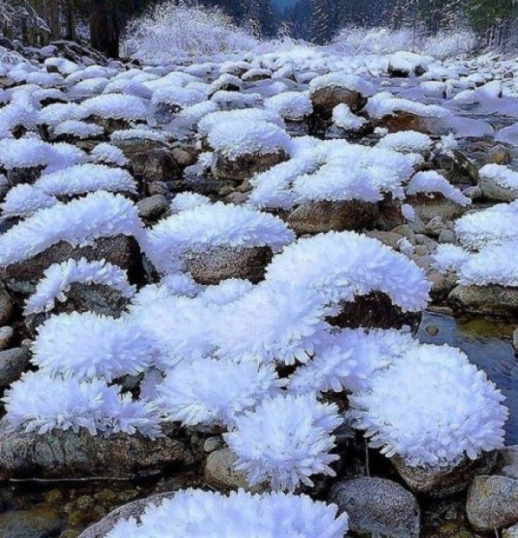 35 необычных подтверждений того, что наша планета способна многим удивить