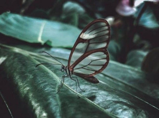 35 необычных подтверждений того, что наша планета способна многим удивить