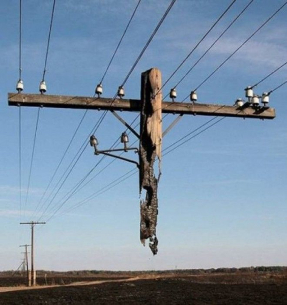 35 необычных подтверждений того, что наша планета способна многим удивить