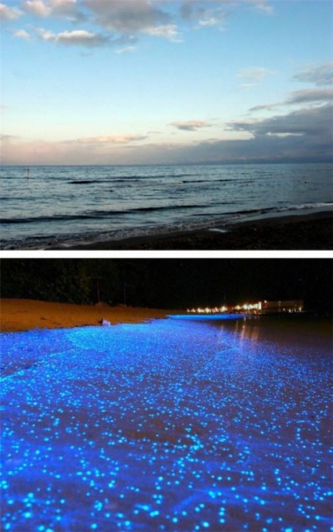 9 уникальных мест, которые полностью меняются ночью