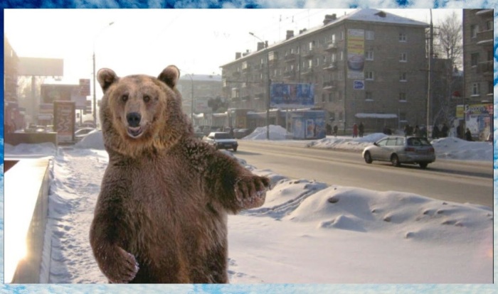 Что думают о гостях из России иностранцы в разных уголках мира