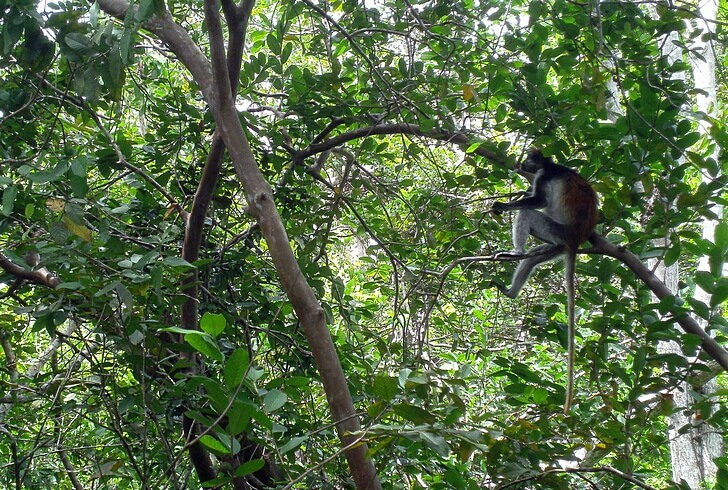 Что посмотреть в Танзании?