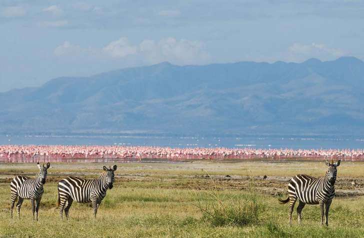 Что посмотреть в Танзании?