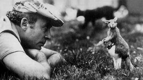 Юз Алешковский - об эмиграции и писательском ремесле. Старое интервью Би-би-си