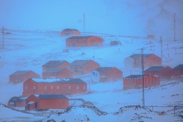Факты об Антарктиде: 20 невероятных вещей, которых вы не знали