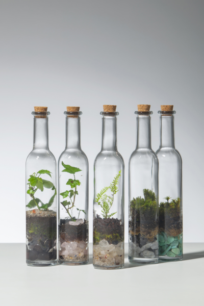 Флорариум своими руками: пошаговая инструкция