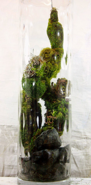 Флорариум своими руками: пошаговая инструкция