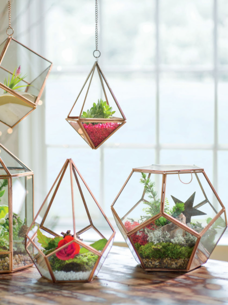 Флорариум своими руками: пошаговая инструкция