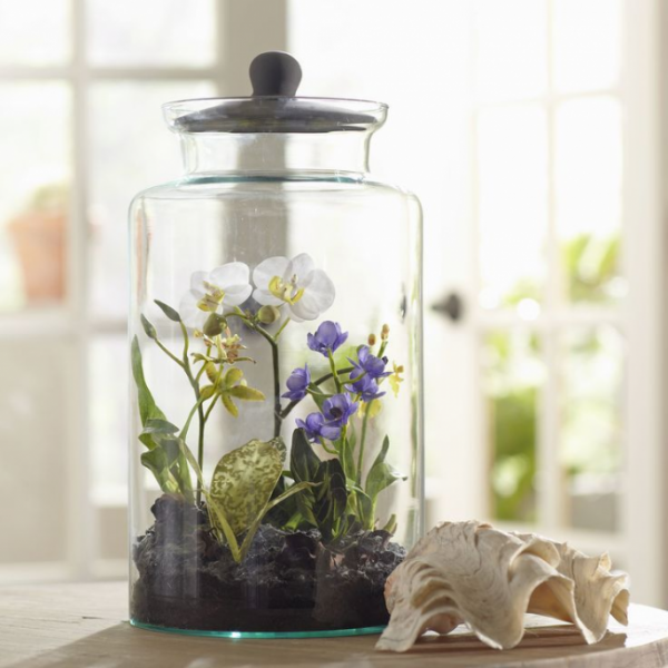 Флорариум своими руками: пошаговая инструкция