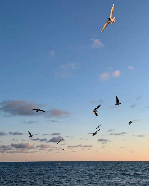 Хамство в ресторанах, мат на улицах и странная архитектура: россиянка делится негативным отзывом об отдыхе в Сочи