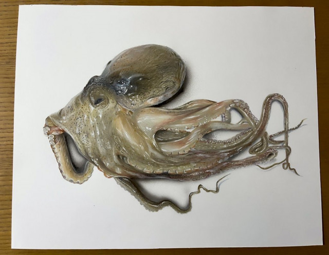 Художница-самоучка рисует потрясающие оптические иллюзии