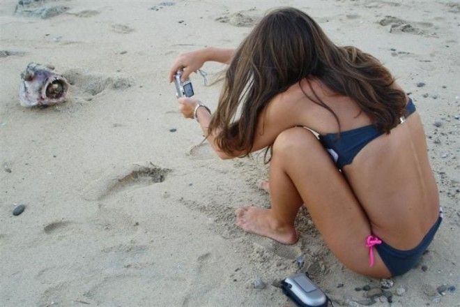 Интересные факты о ядовитой рыбе фугу