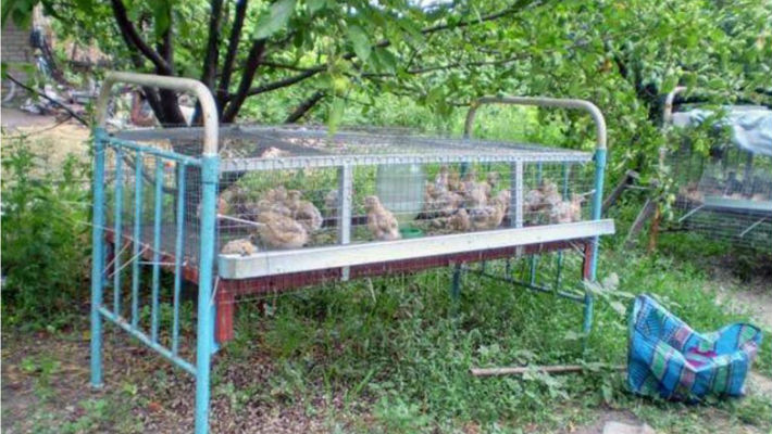 Когда польза очевидна: 17 идей использования старой кровати